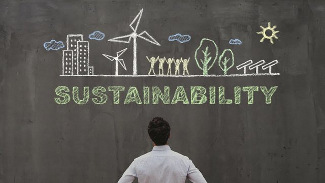 An einer Schultafel steht das englische Wort für Nachhaltigkeit: Sustainability
